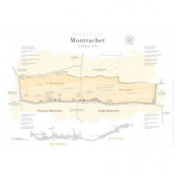Plot map of the appellation "Montrachet, Grand Cru" 80x60 cm | Laurent Gotti