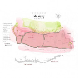 Plot map of the appellation "Musigny, Grand Cru" 80x60 cm | Laurent Gotti