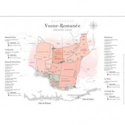Plot map of the appellation "Vosne-Romanée, grands Crus" 80x60 cm | Laurent Gotti