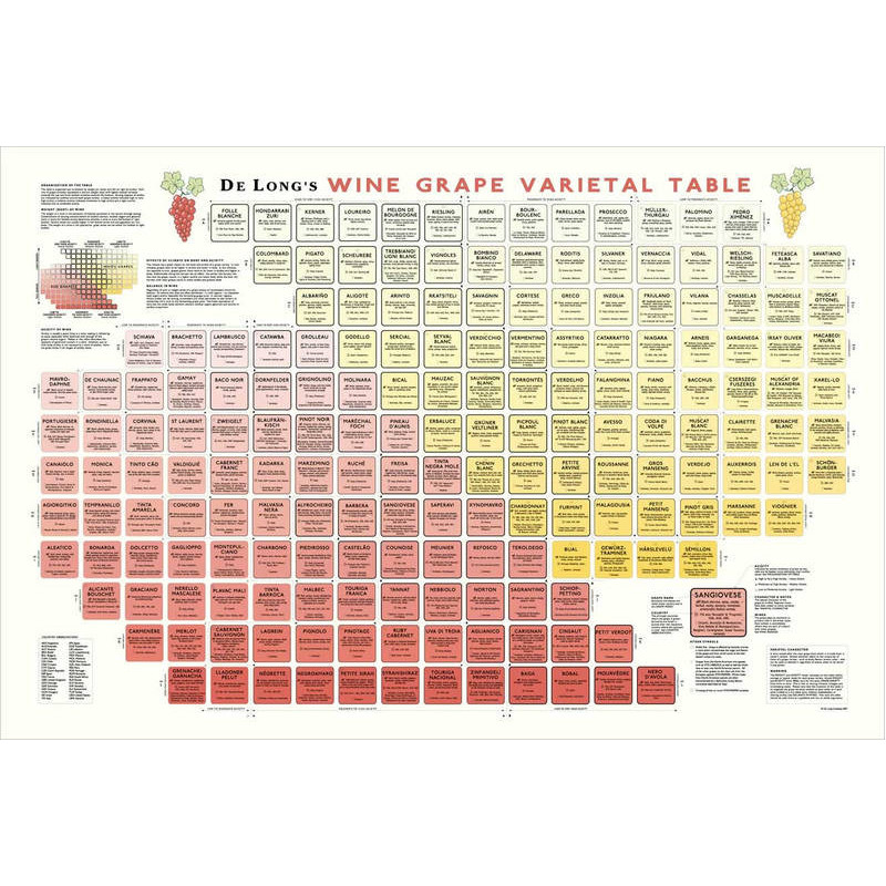 Rolled poster "Wine Grape Varietal Table" 61x91.4 cm | Steve De Long