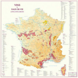 Map of France Wines and Eaux-de-Vie of Designation of Origin 88x88 cm | Benoît France