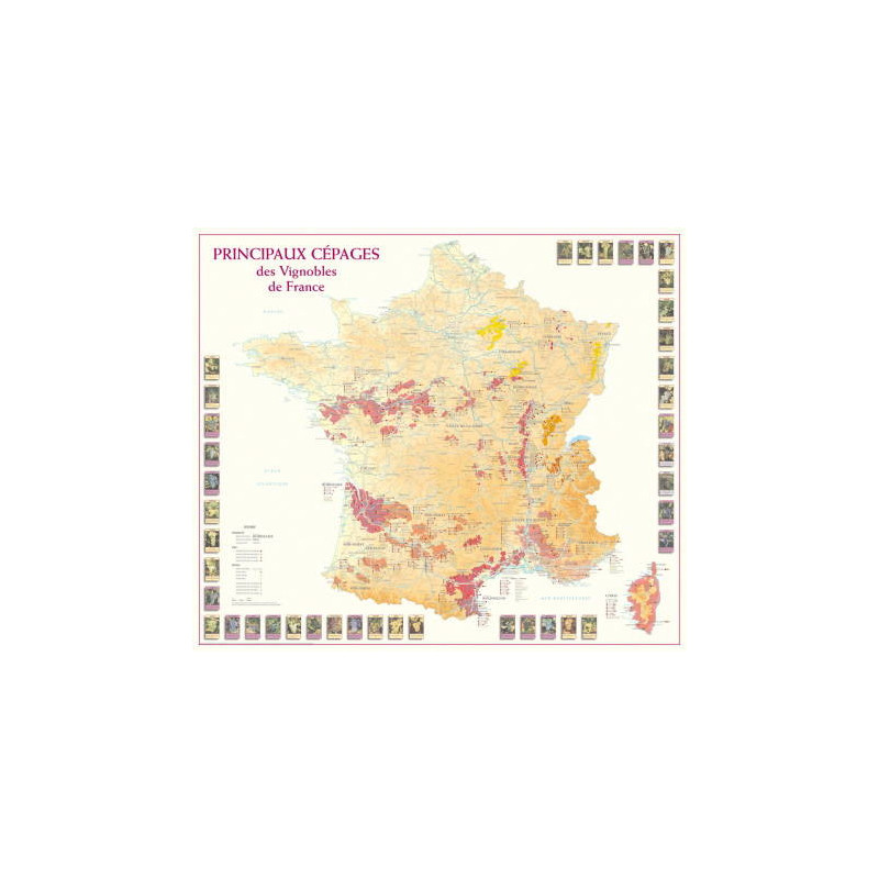 Wine list 66x77 cm "Main Grape Varieties of the Vineyards of France" | Benoît France