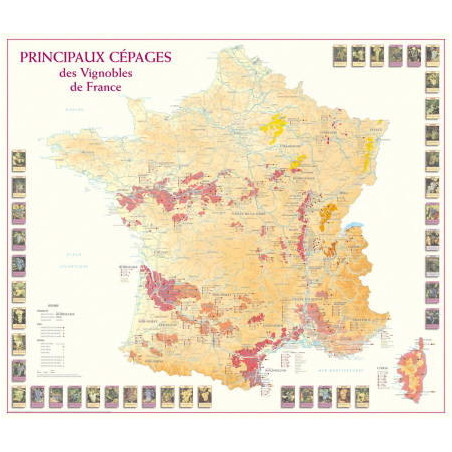 Wine list 66x77 cm "Main Grape Varieties of the Vineyards of France" | Benoît France