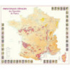 Wine list 66x77 cm "Main Grape Varieties of the Vineyards of France" | Benoît France