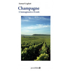 Champagne - Imaginary and Real | Samuel Cogliati