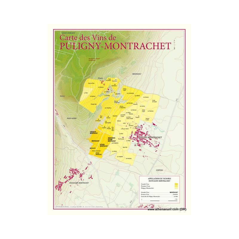 Wine list 30x40 cm "Puligny-Montrachet" | Benoît France