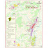 Map of the vineyard "Burgundy" 55x70 cm | Benoît France