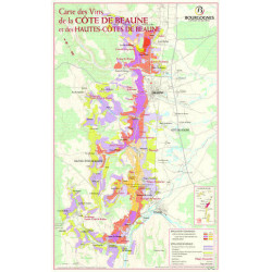 Vineyard map"Bourgogne: La Côte de Beaune" 44x70 cm | BIVB