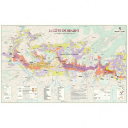 Vineyard map n°41 "Burgundy: The Côte de Beaune" 55x88 cm | Benoît France