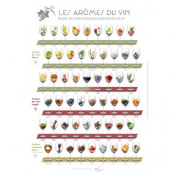 Poster "The Aromas of Wine" 50x70 cm | infosaveurs