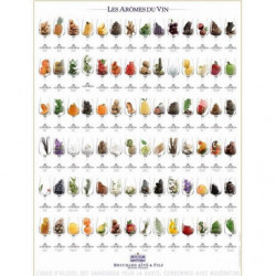 Poster "The Aromas of Wine" 60x80 cm | Bouchard Ainé & Fils