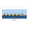 Poster 48x68 cm "Rowers" by Michel Tolmer | Glougueule