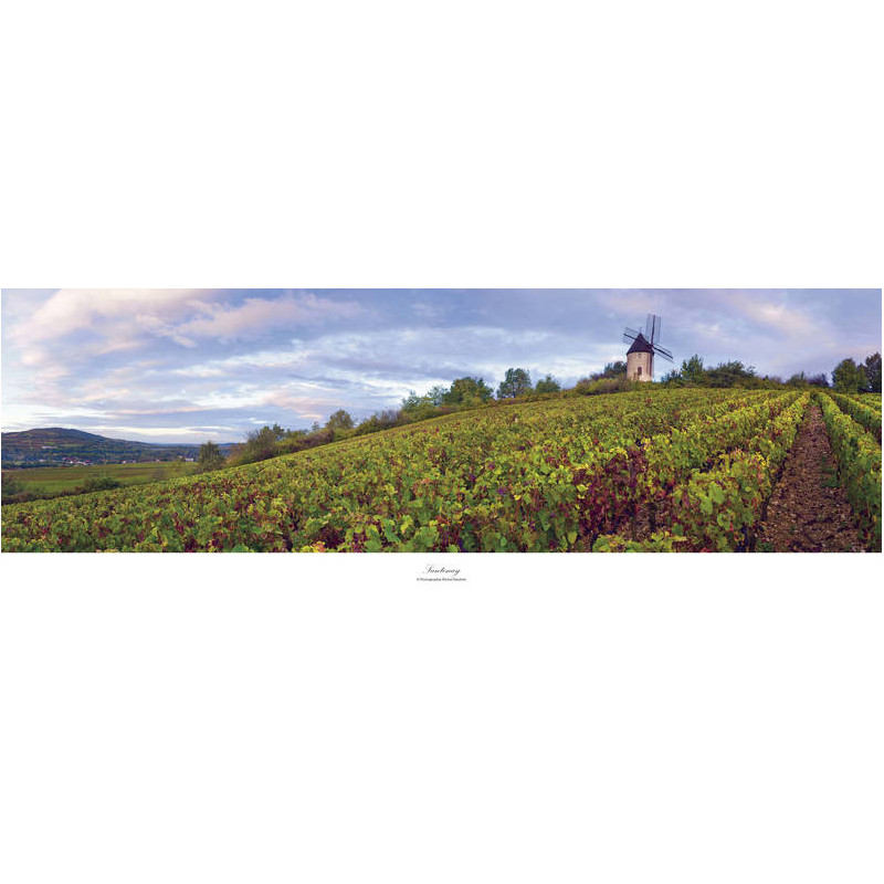 Santenay poster "Le Moulin" 33x95 cm | Bruno Voidey