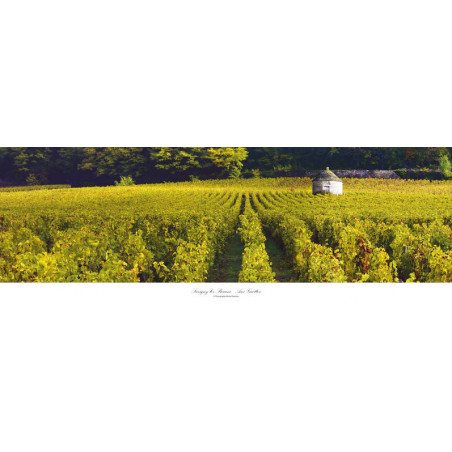 Poster Savigny-les-Beaune ''Les Guettes'' 33x95 cm | Bruno Voidey