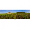 Photographic poster 33x95cm "Le Clos de Vougeot" | Bruno Voidey