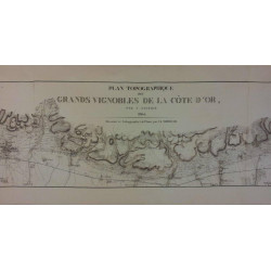 Wall map of the topographic map of the great vineyards of the Côte d'Or of 1855 199x42cm|Olivier le Cayron