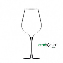Glass "OenoXpert" 45 CL,...