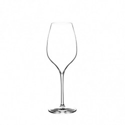 Champagne Glass "M5 – 30 cl Signature Collection A. Lallement" | Lehmann