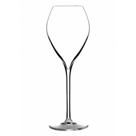 Champagne glass "Jamesse Champagne Premium 23 cl" | Lehmann