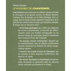 Le vignoble de Chavignol