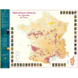 Folded map "Main grape varieties of the Vineyards of France" 88x66 cm | Benoît France