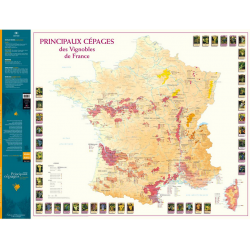 Wine list 88x66 cm "Main Grape Varieties of the Vineyards of France" | Benoît France