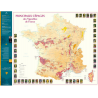 Carte pliée "Principaux Cépages des Vignobles de France" 88x66 cm | Benoît France