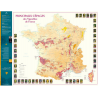 Wine list 88x66 cm "Main Grape Varieties of the Vineyards of France" | Benoît France