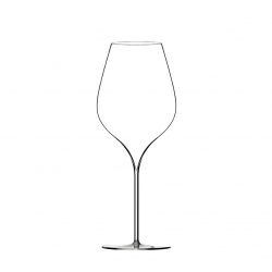 Universal wine glass...