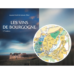 Les vins de Bourgogne (17ème édition in french edition) by Laurent Gotti & Sylvain Pitiot