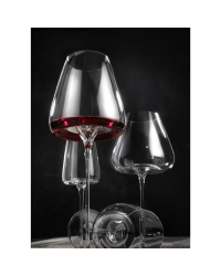 Vision "Fresh" White Wine Glass | Zieher