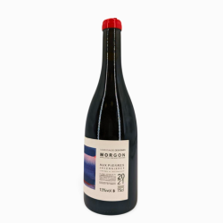 Morgon Red "Côte du Py" Cuvée Javernières Aux Pierres 2021 | Wine from Domaine Louis Claude Desvignes