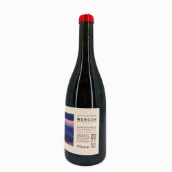 Morgon Rouge "Javernières Aux Pierres" 2021 | Wine from Domaine Louis Claude Desvignes