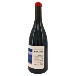 Morgon Rouge "Javernières Aux Pierres" 2020 | Wine from Domaine Louis Claude Desvignes