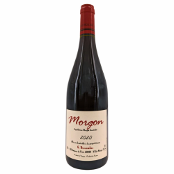 Morgon Red 2020 | Wine from Domaine Georges Descombes