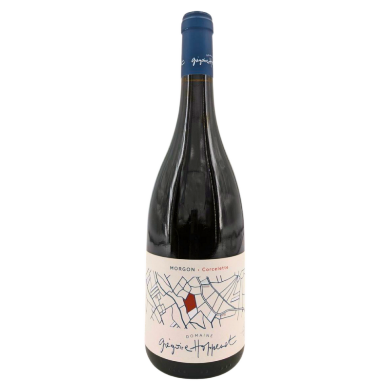 Morgon Rouge "Corcellette" 2021 | Wine from Domaine Grégoire Hoppenot