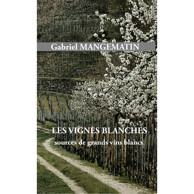 Les vignes blanches, sources de grands vins blancs |Gabriel Mangematin