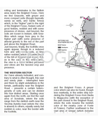 Wine list 59x84 cm "Bolgheri, e Bolgheri Sassicaia" | Enogea