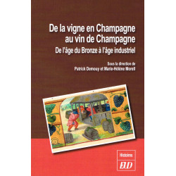 De la vigne en Champagne au vin de Champagne, de l'âge de Bronze à l'âge industriel | Patrick Demouy et Marie-Hélène Morell