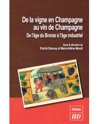 From the vineyards in Champagne to Champagne wine, from the Bronze Age to the industrial age | Patrick Demouy and Marie-Hélène M