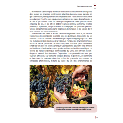 Le vin, 60 clés pour comprendre l'oenologie (French Edition) by Fabienne Remize & Véronique Cheynier | Quae