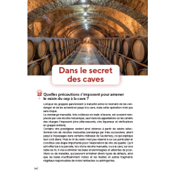 Le vin, 60 clés pour comprendre l'oenologie de Fabienne Remize & Véronique Cheynier | Quae