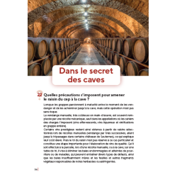 Le vin, 60 clés pour comprendre l'oenologie (French Edition) by Fabienne Remize & Véronique Cheynier | Quae