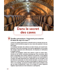 Le vin, 60 clés pour comprendre l'oenologie (French Edition) by Fabienne Remize & Véronique Cheynier | Quae