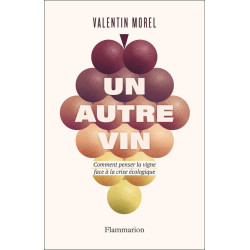 Another wine | Valentin Morel