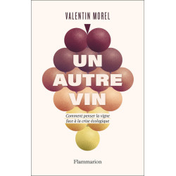 Un autre vin | Valentin Morel