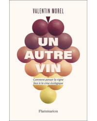 Un autre vin (French Edition): How to Think About the Vine in the Face of the Ecological Crisis by Valentin Morel