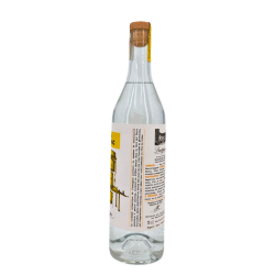 White Armagnac | Dartigalongue House