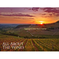 Jura Wine (English edition): With local food and travel tips by Wink Lorch