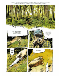 The Secret Life of Trees in Comics | Fred Bernard, Benjamin Flao, Peter Wohlleben